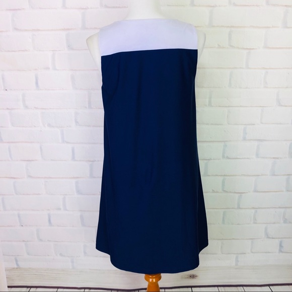 Jude Connally Color Block Shift Dress - Picture 5 of 8